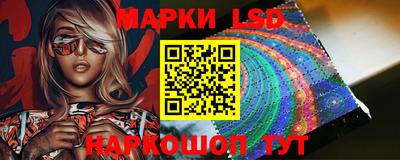 spice Кингисепп