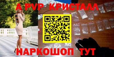spice Кингисепп