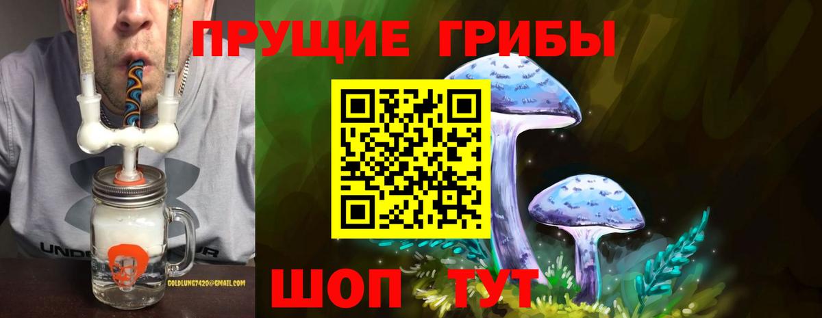 Старая Русса  Галлюциногенные грибы MAGIC MUSHROOMS  Вход с VPN  Псилоцибиновые грибы GOLDEN TEACHER 
